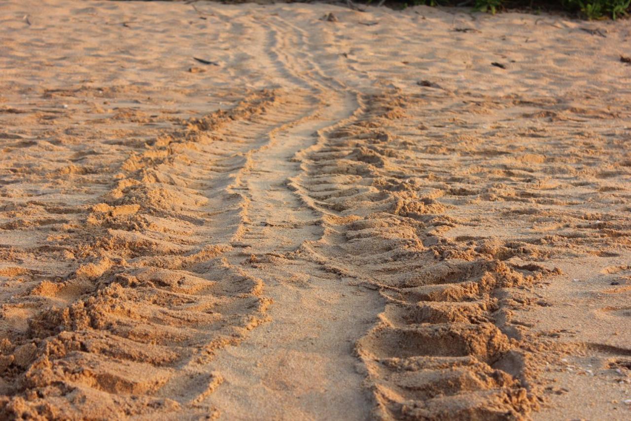 Sati Villa Rekawa Beach Sri Lanka Tangalle Exteriér fotografie